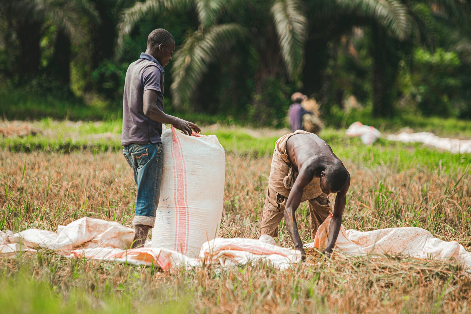 Farmhelper Picture Farmers Assistant